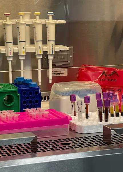 Instalaciones laboratorio de biología molecular